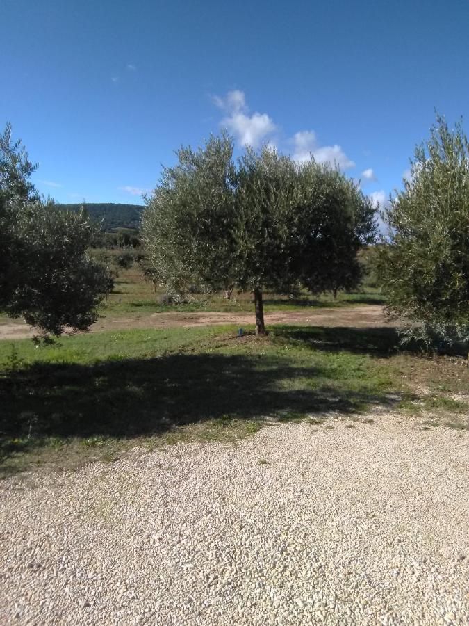 Vacances Vaison la Romaine Extérieur photo